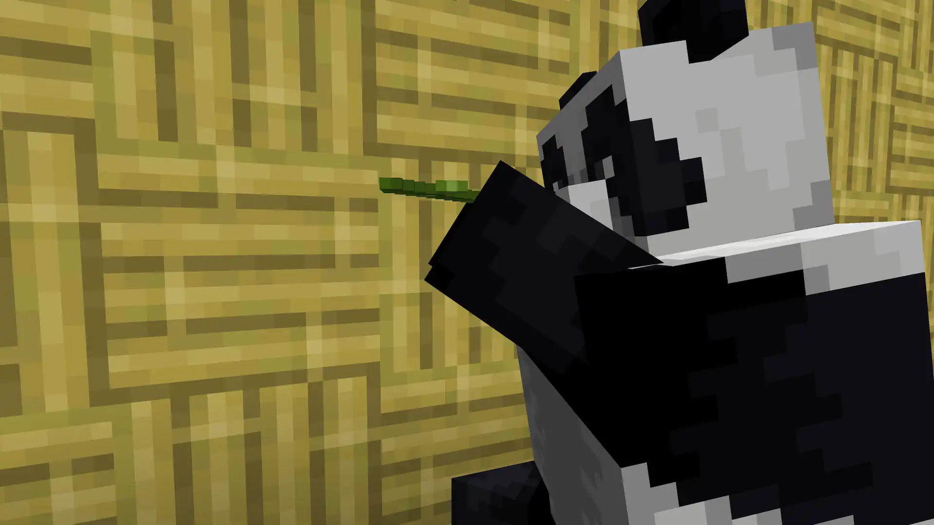 Close up of Minecraft Panda eating a bamboo shoot