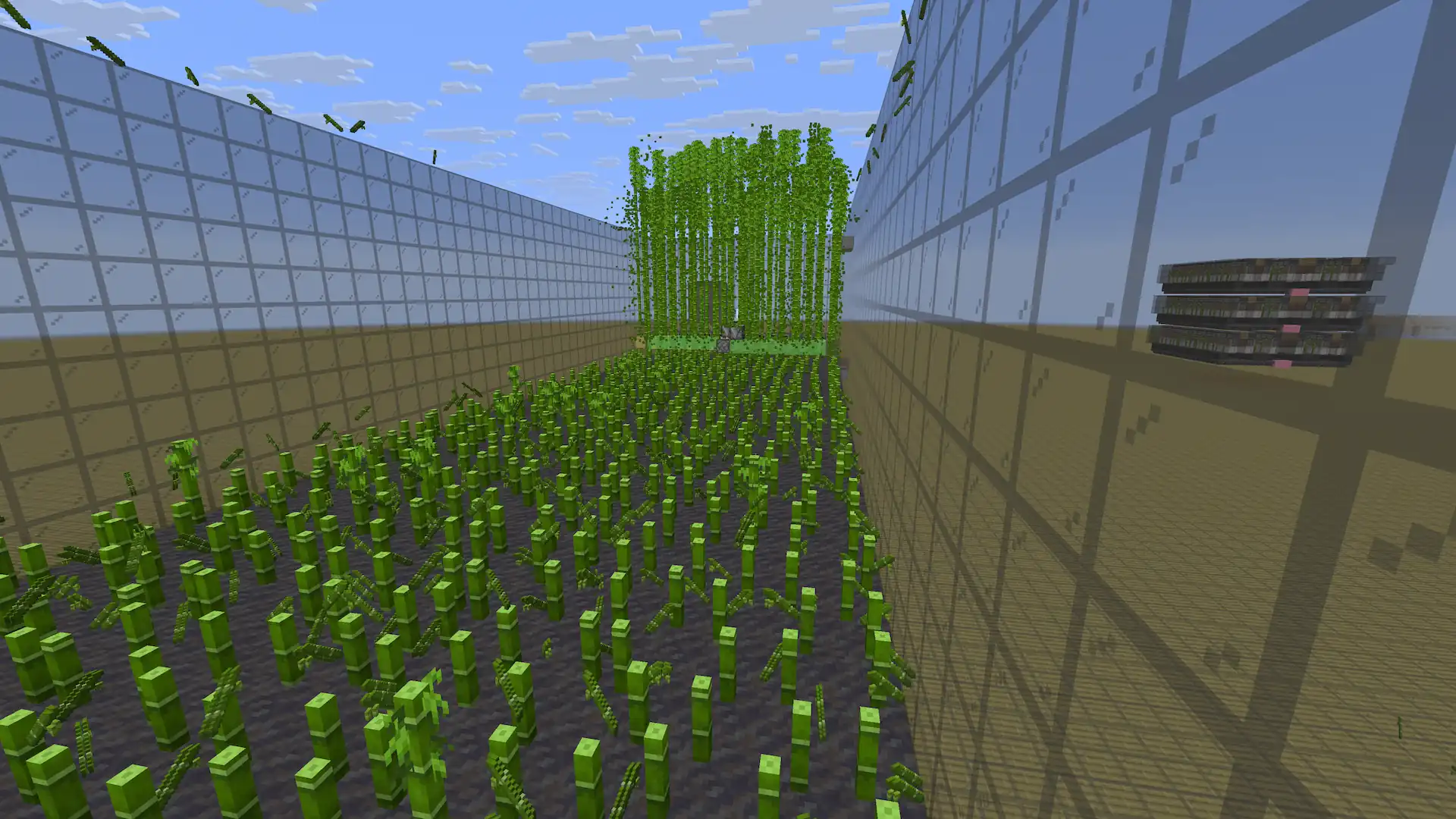 Three-chunk flying machine bamboo farm scaled up